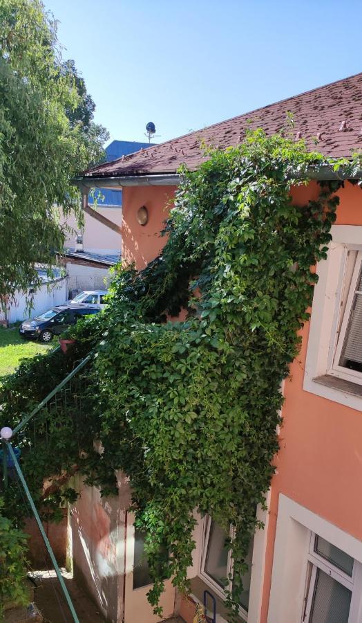 Penzion Libertas Mariánské Lázně المظهر الخارجي الصورة