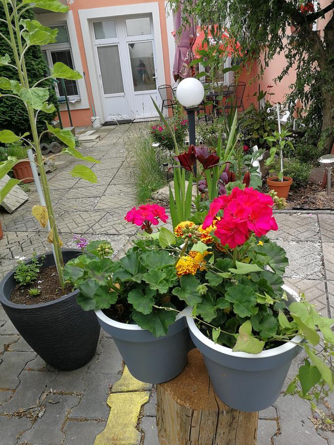Penzion Libertas Mariánské Lázně المظهر الخارجي الصورة
